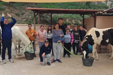 Equinoteràpia: beneficis sensorials i emocionals per a persones amb disCapacitat intel·lectual i TEA